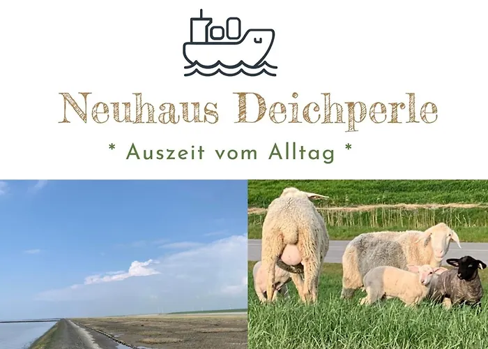 Neuhaus Deichperle By Interhome